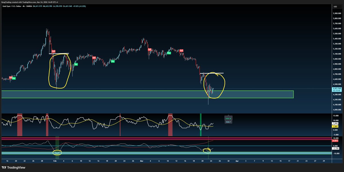 Kong Trading 🦍 tweet media