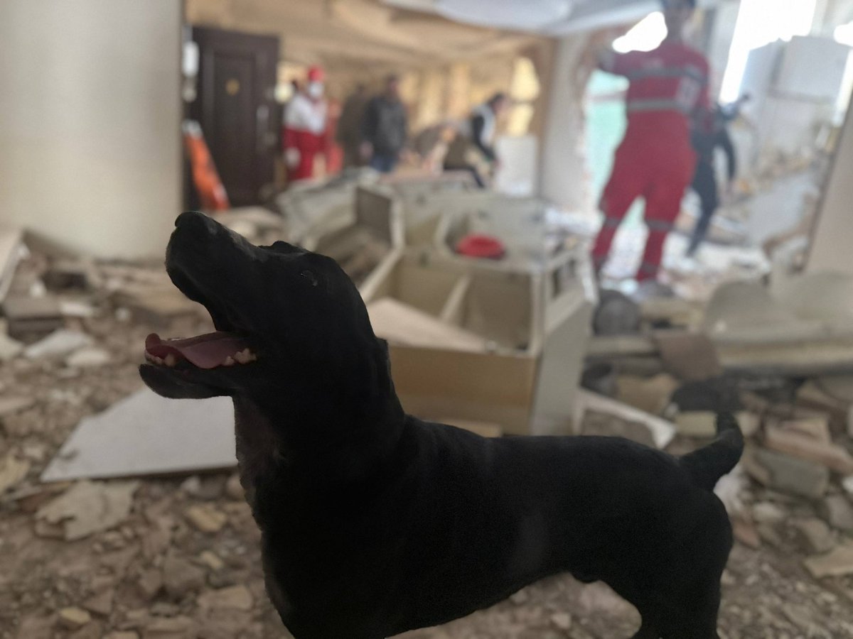 امیرطاهر حسین خان tweet media