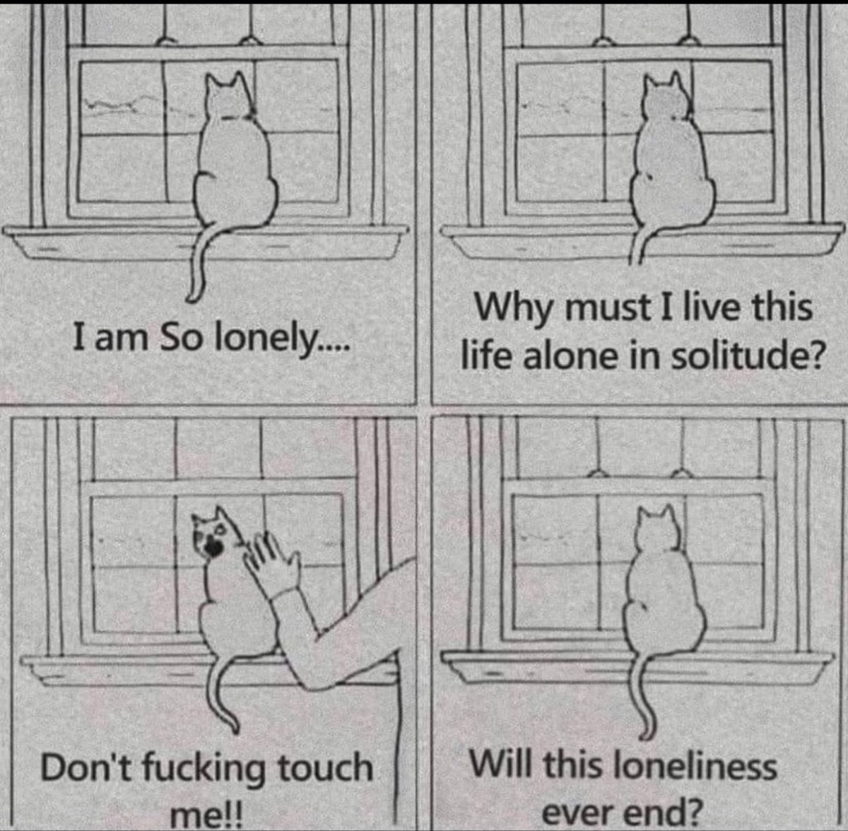 First Among Equals tweet media