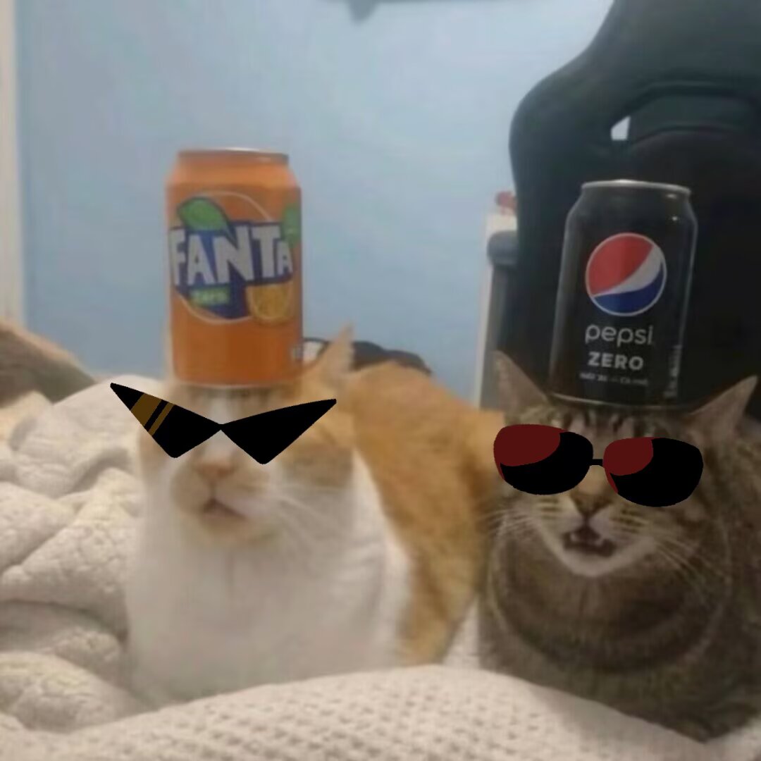 #brodave 猫