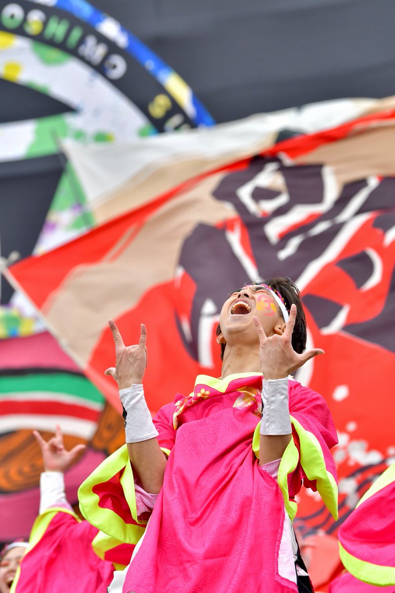 てりー★よさこい写真専用垢 tweet media