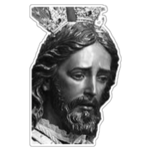 Jose Este Cofrade tweet media