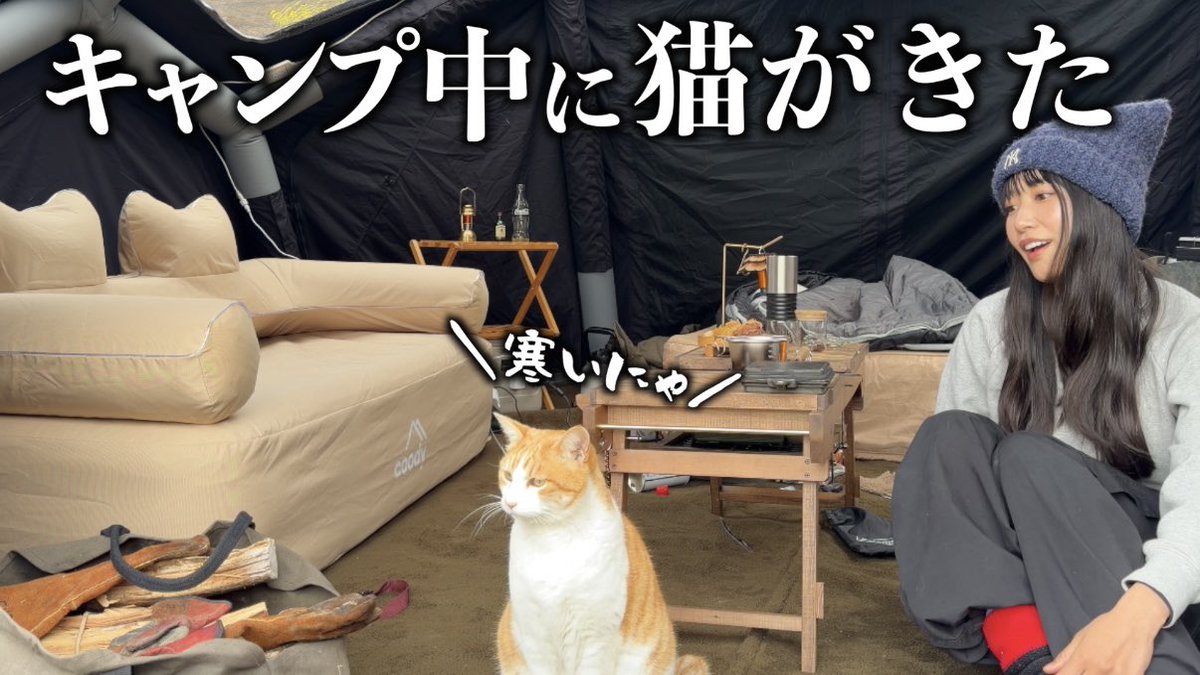 なゆキャン△ tweet media