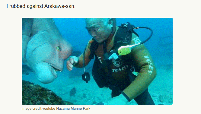 idrawcooks tweet media