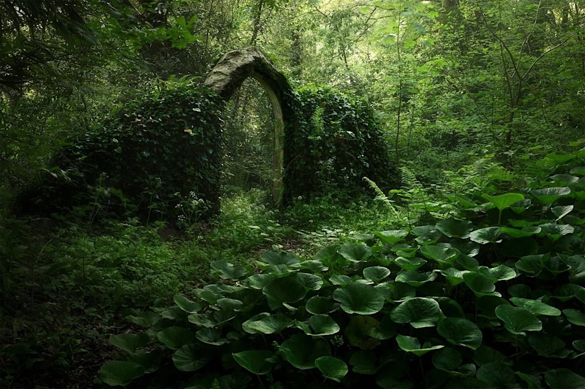 Tibor M. Kalman tweet media