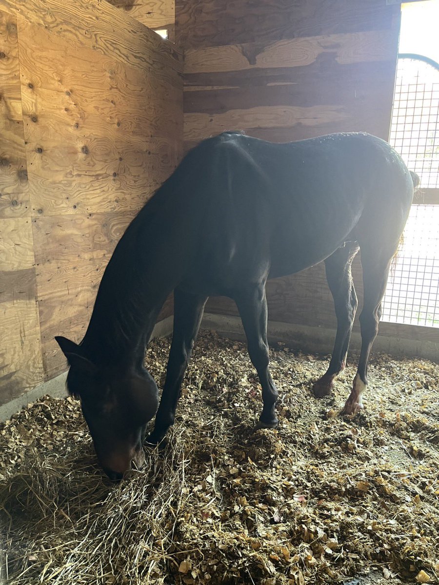 うまんまパーク【公式】 tweet media