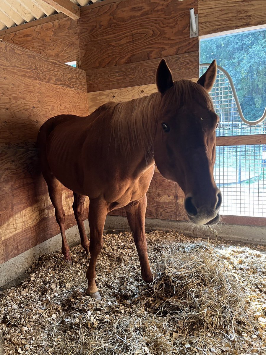 うまんまパーク【公式】 tweet media