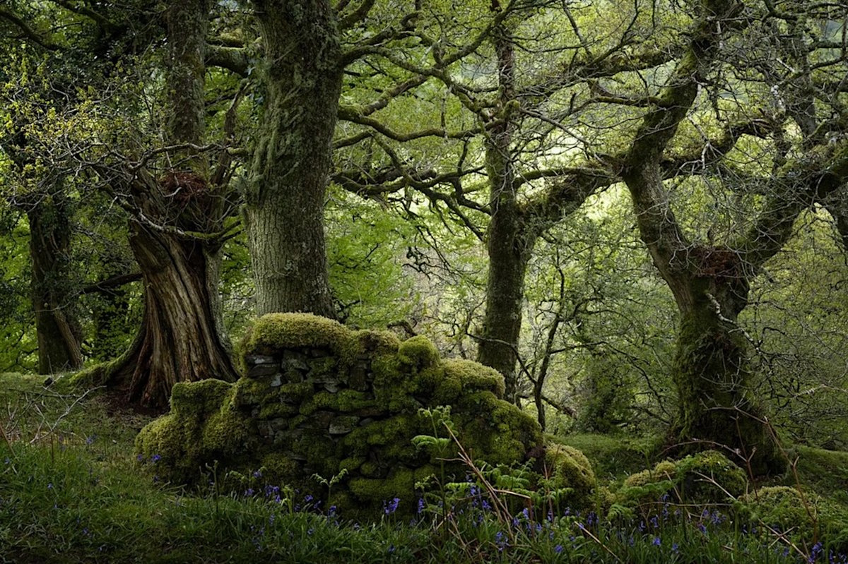 Tibor M. Kalman tweet media