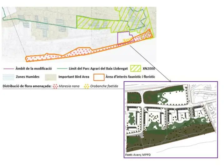 Miquel Àngel Sòria 🎗️Octubrista tweet media