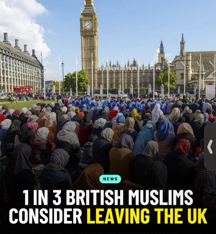 Harris Sultan tweet media