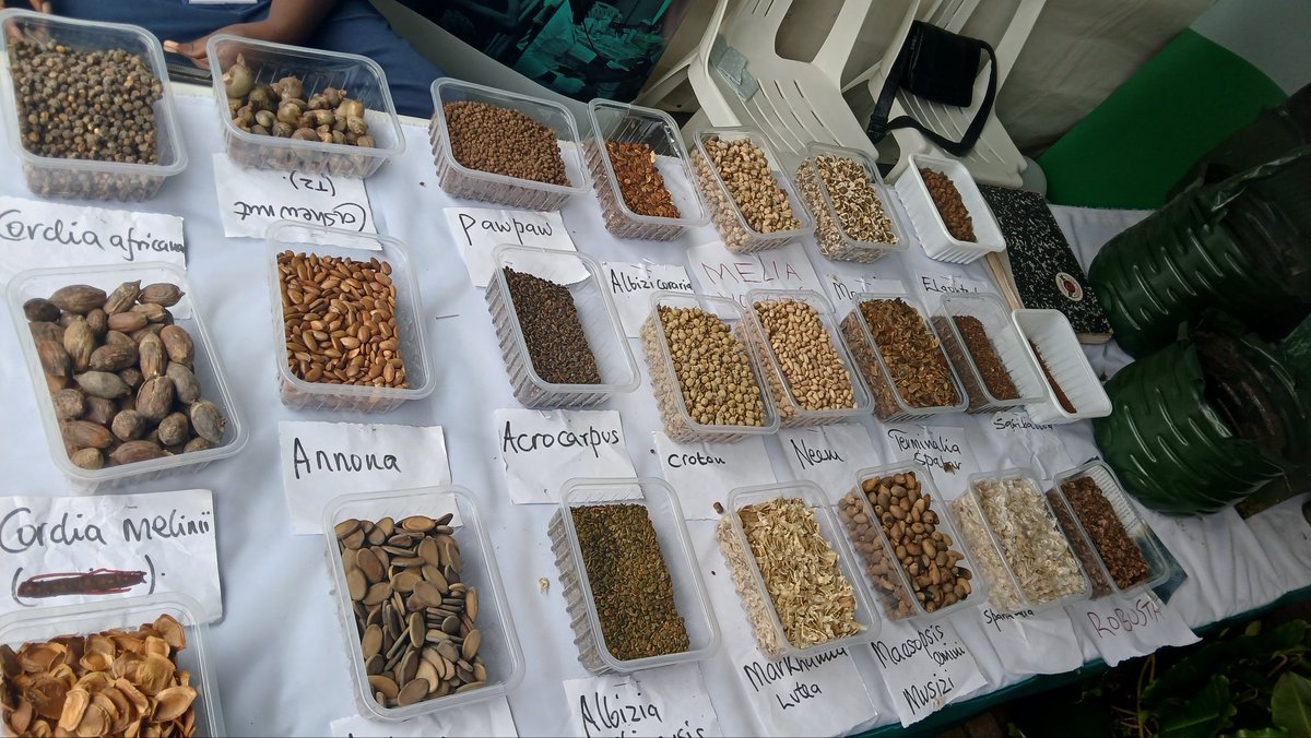 Enr-CSO Network tweet media