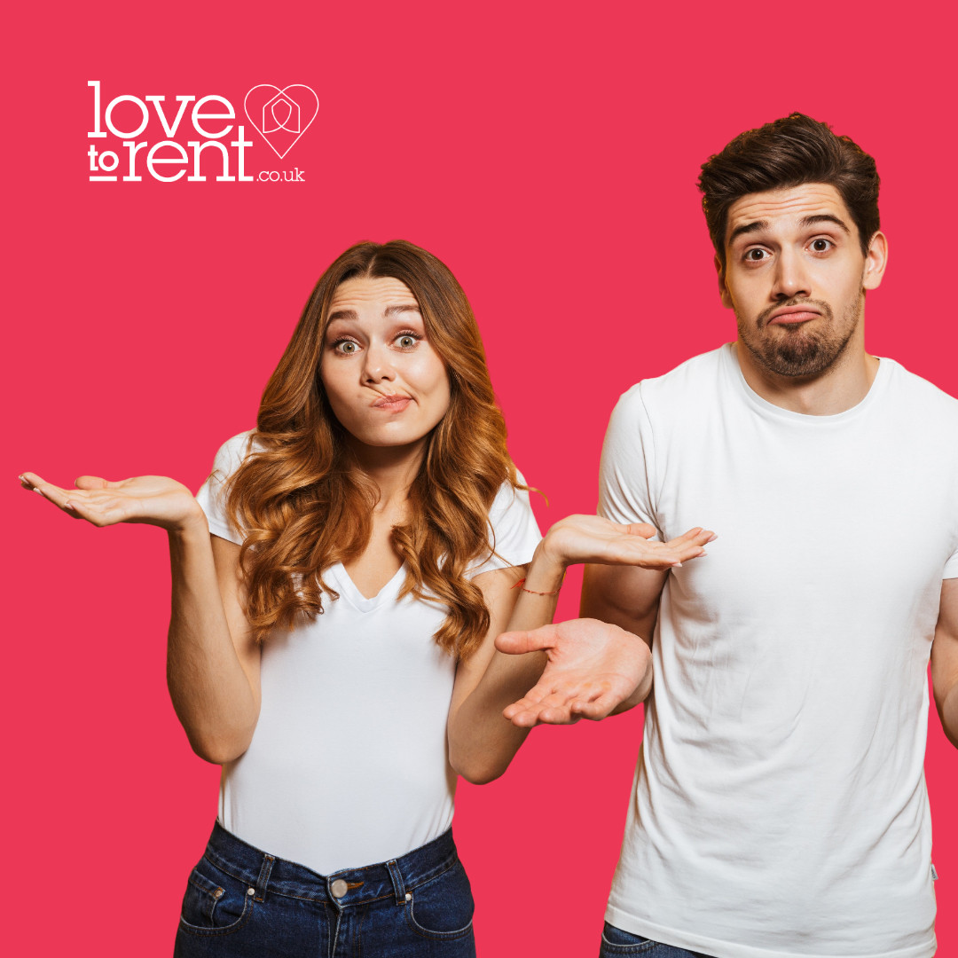 Love to Rent tweet media
