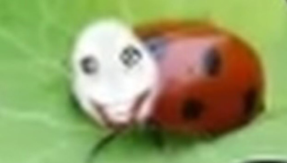 simba 💽 tweet media