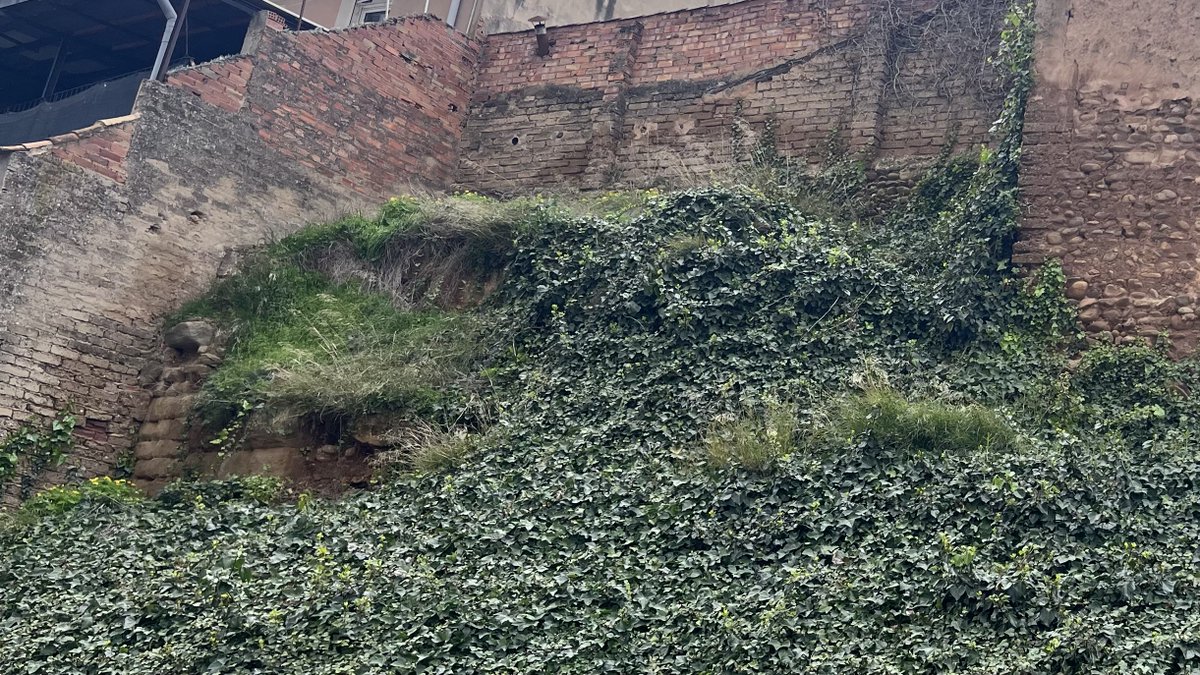 PSOE Calahorra tweet media