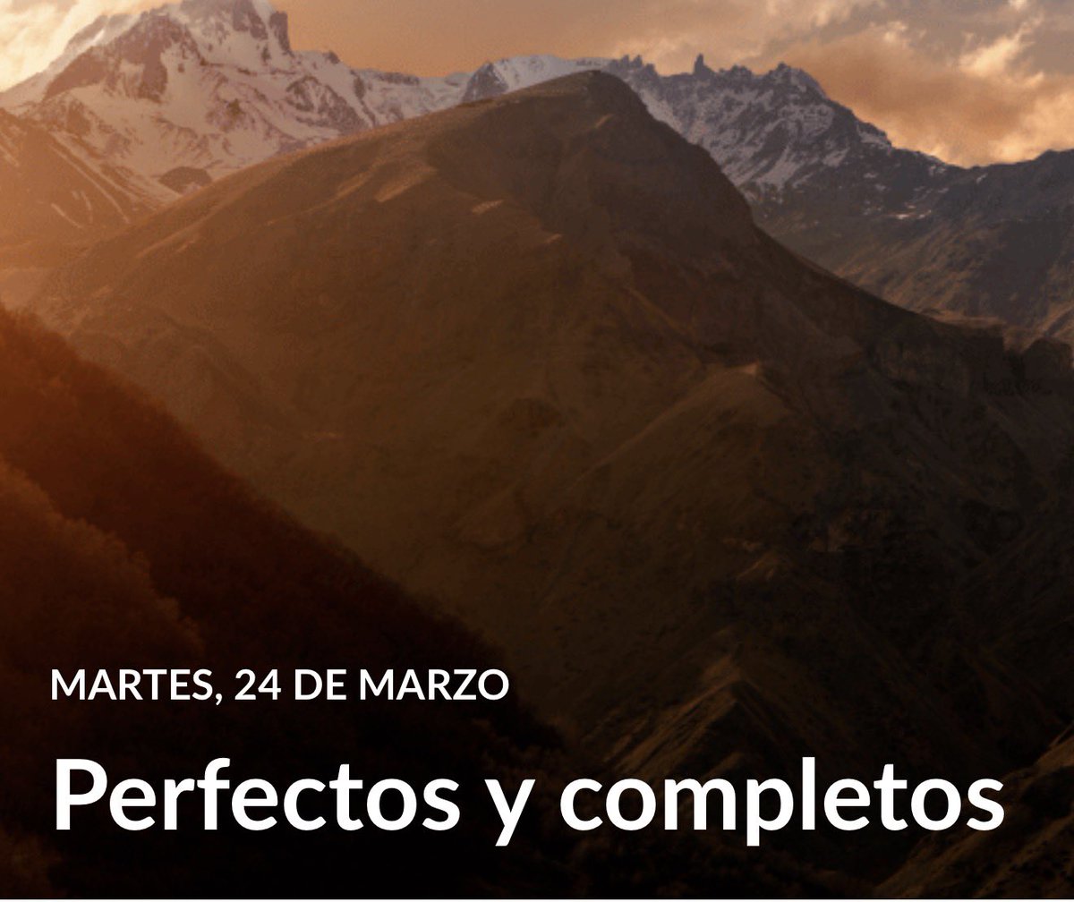 César Terrones Mayta tweet media