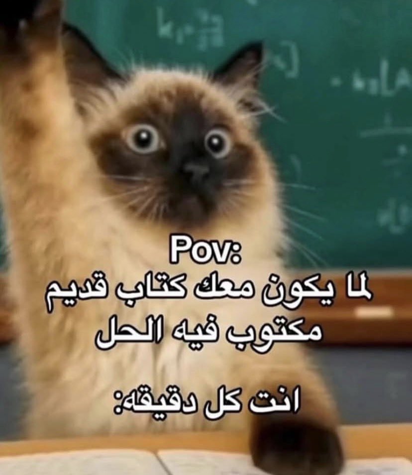 انس ماغيره tweet media