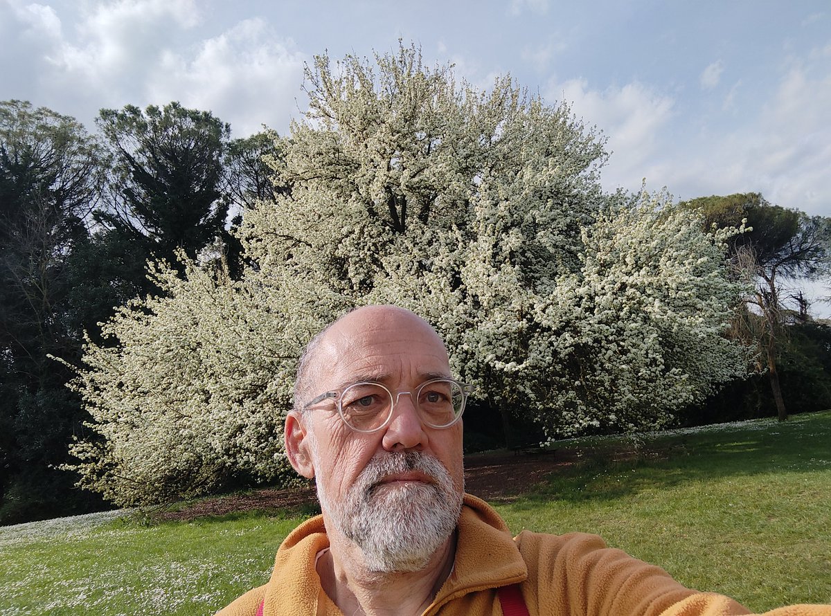 Luca Cellai tweet media