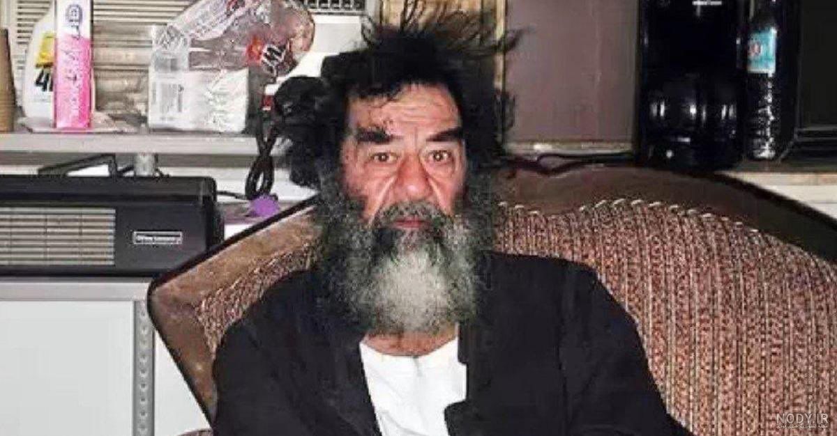 سعید tweet media