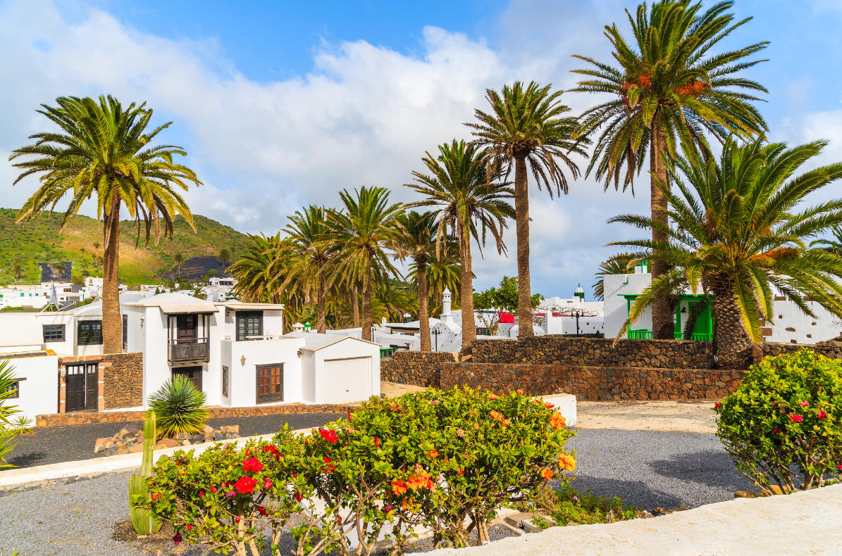 Iberia Express tweet media