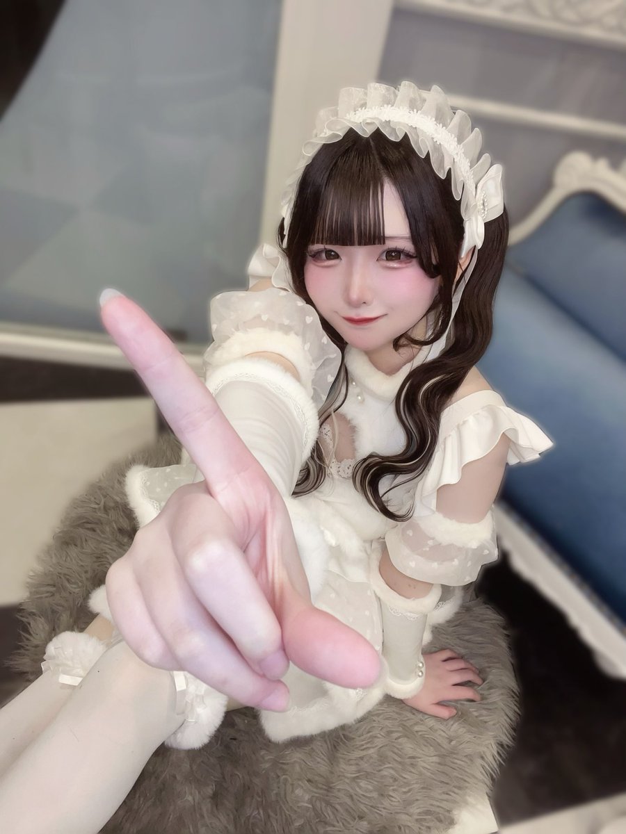 ねこた💮Ragdoll tweet media