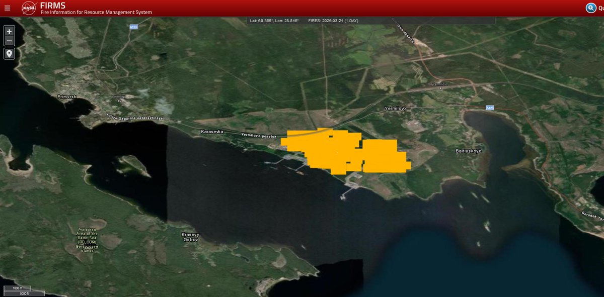 HC Strien tweet media