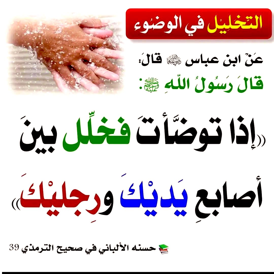 مَجَالِس أَدَبِيَّة tweet media