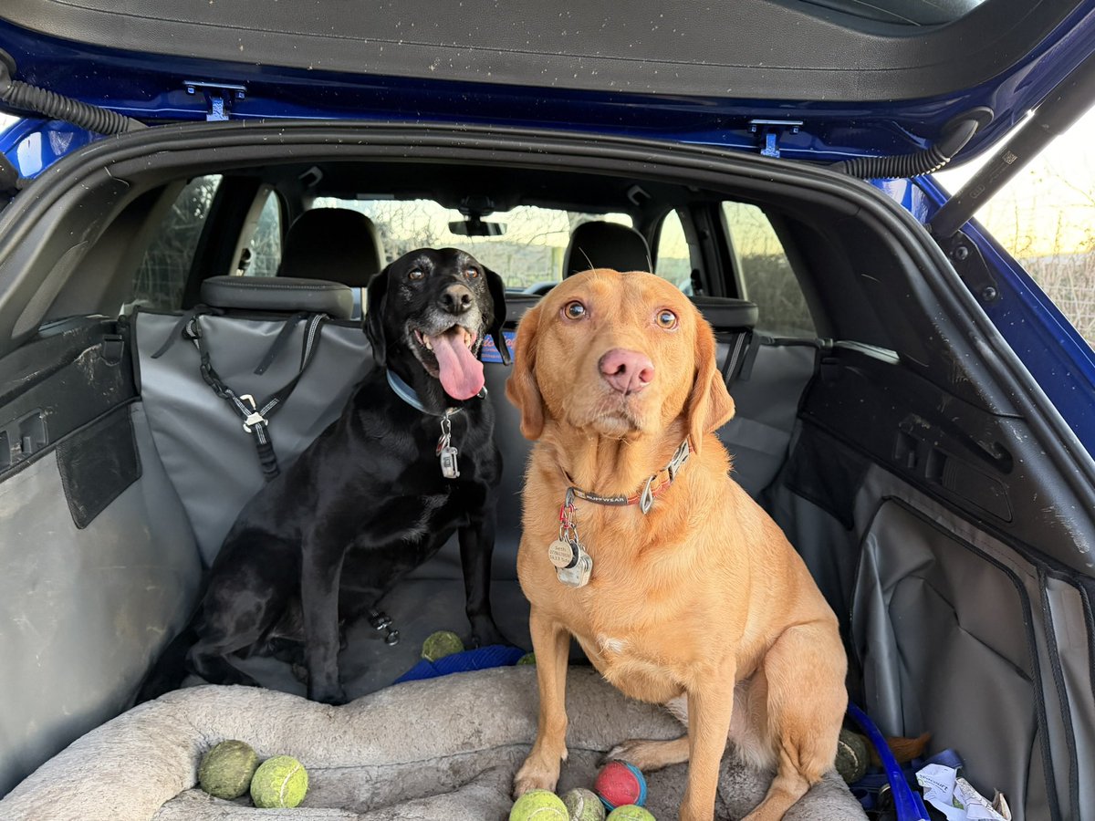 troy and ellie 🐾🐾 tweet media