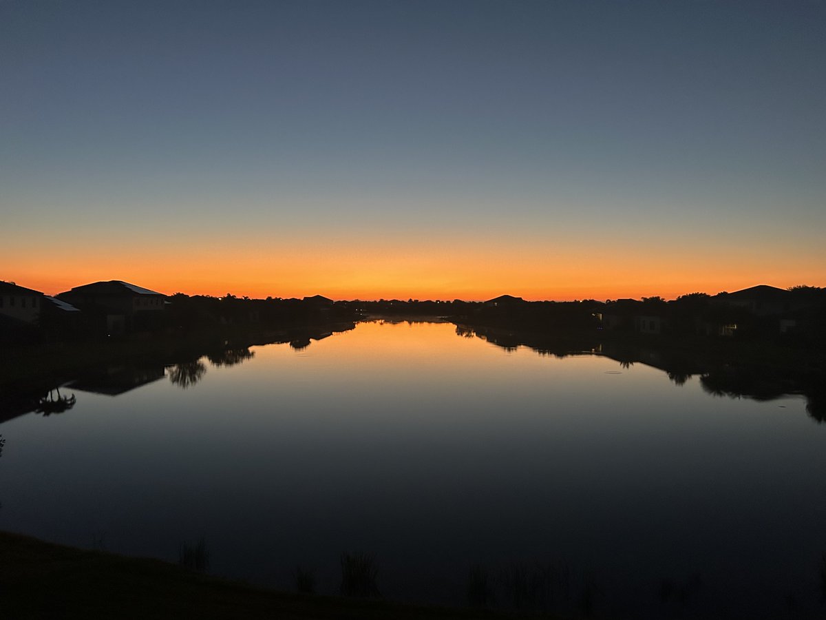 Michael Caputo tweet media