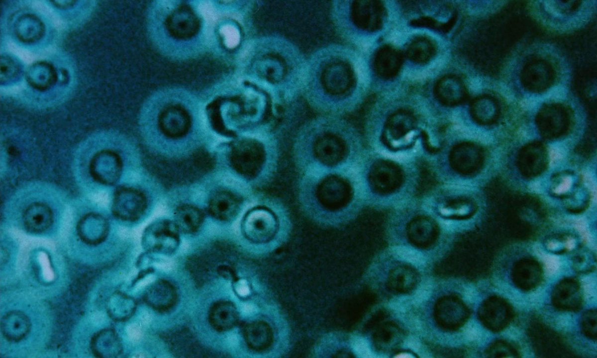 𝐂𝐢𝐧𝐞𝐦𝐚 𝐀𝐧𝐝 𝐌𝐢𝐬𝐝𝐞𝐦𝐞𝐚𝐧𝐨𝐫𝐬 tweet media