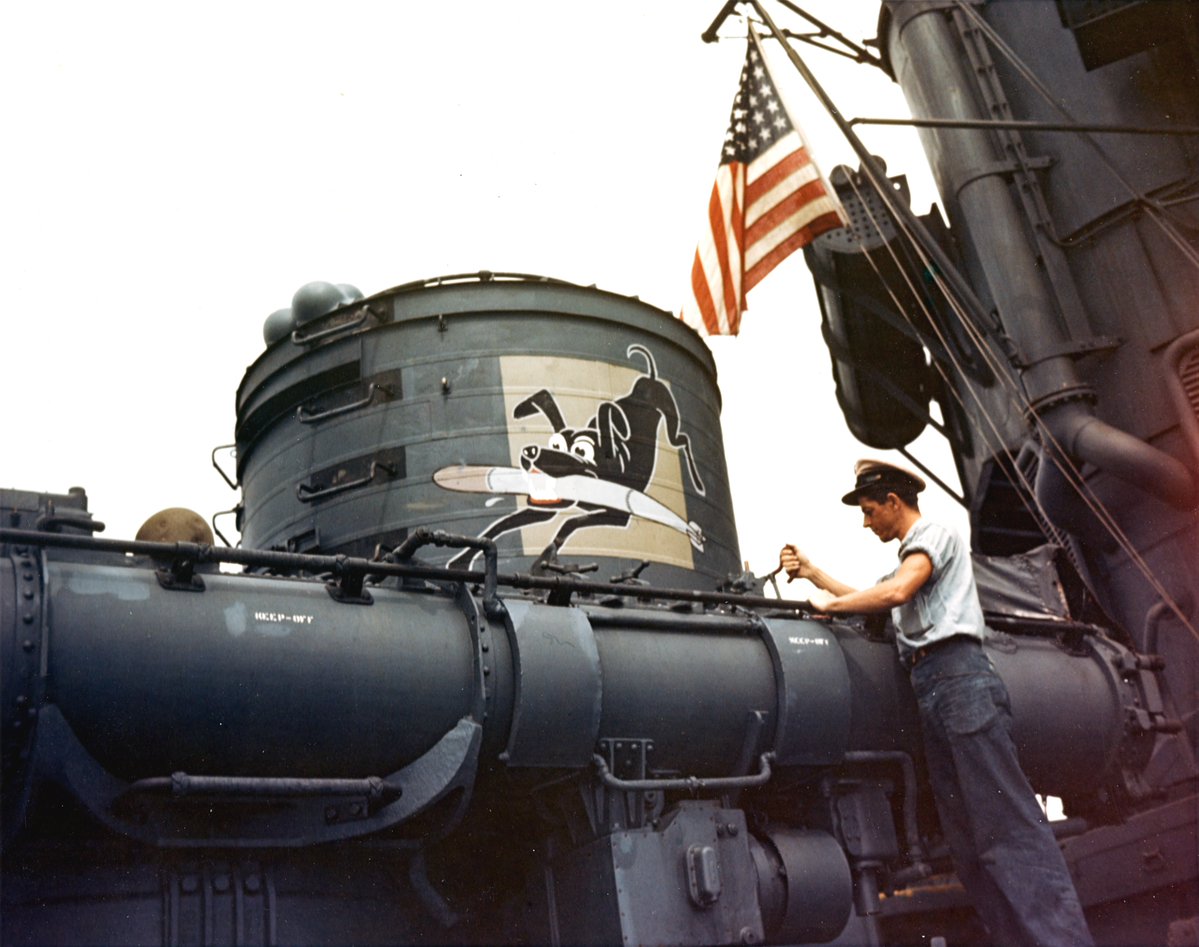 Action Stations tweet media