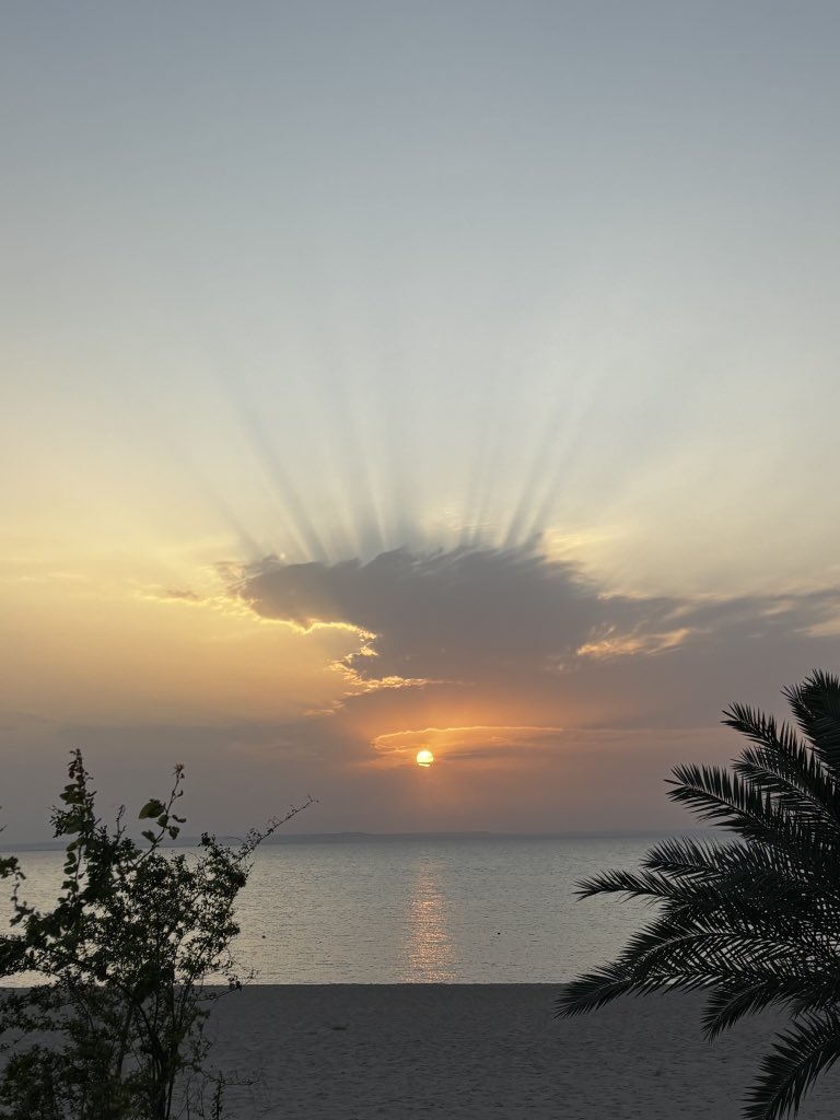 Exiled Seagull tweet media