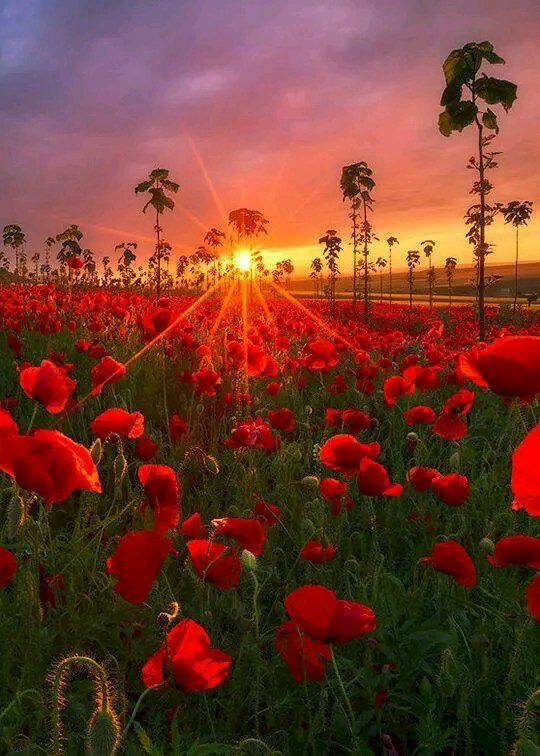 ᗴᒪIՏᗩ 🤍🩷 tweet media