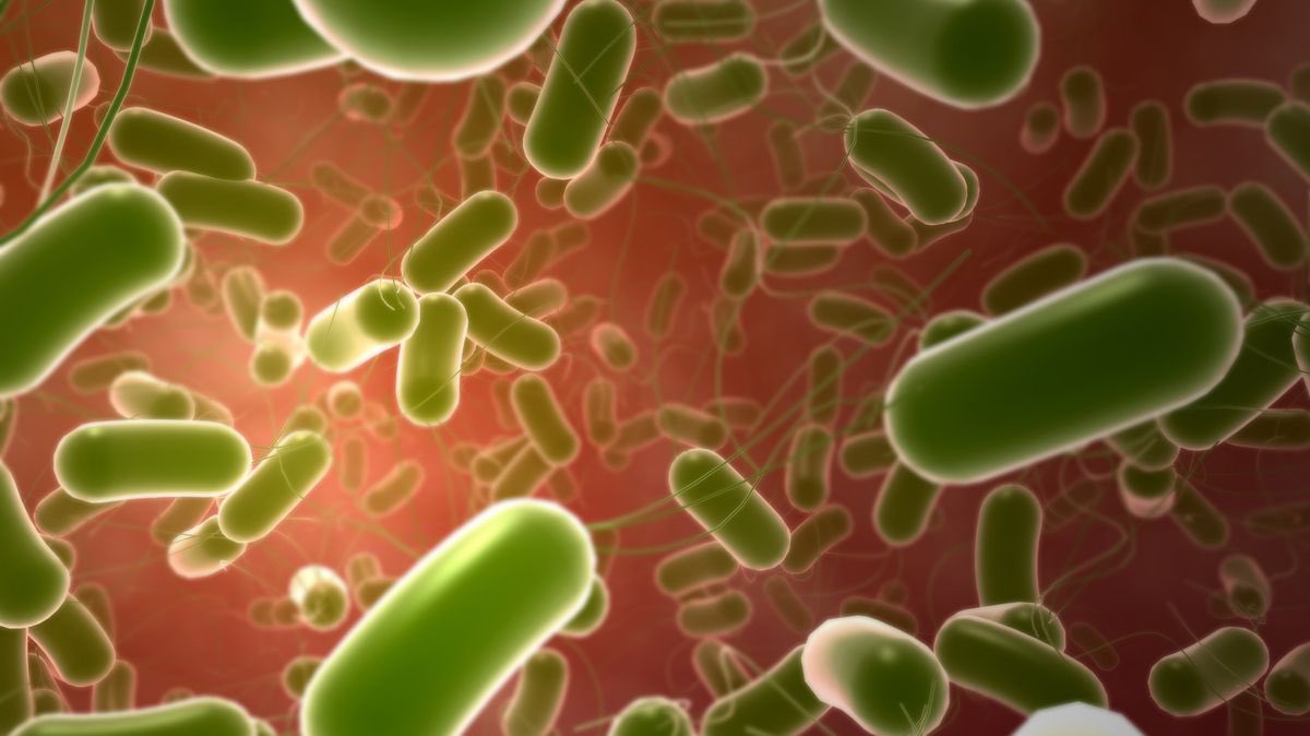 Martin Bagot tweet media