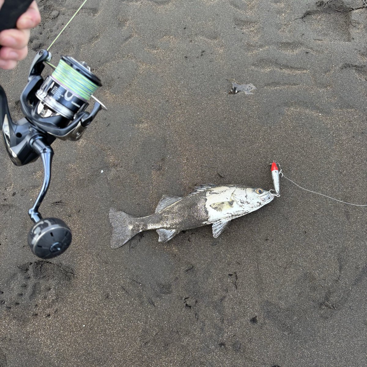 きりこ👻【Ðio†/ゴッド組〆】 tweet media