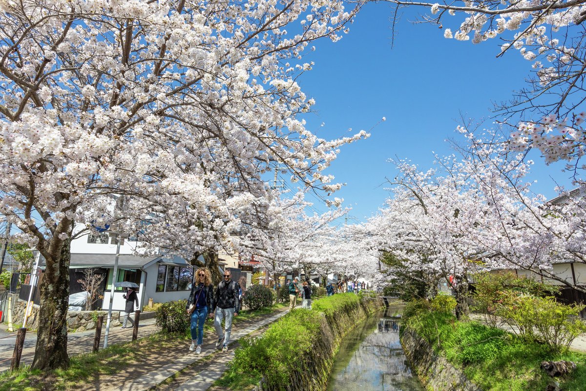 まっぷる編集部【公式】 tweet media