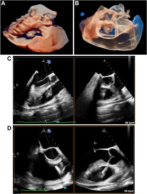 Divyanshu Mohananey tweet media