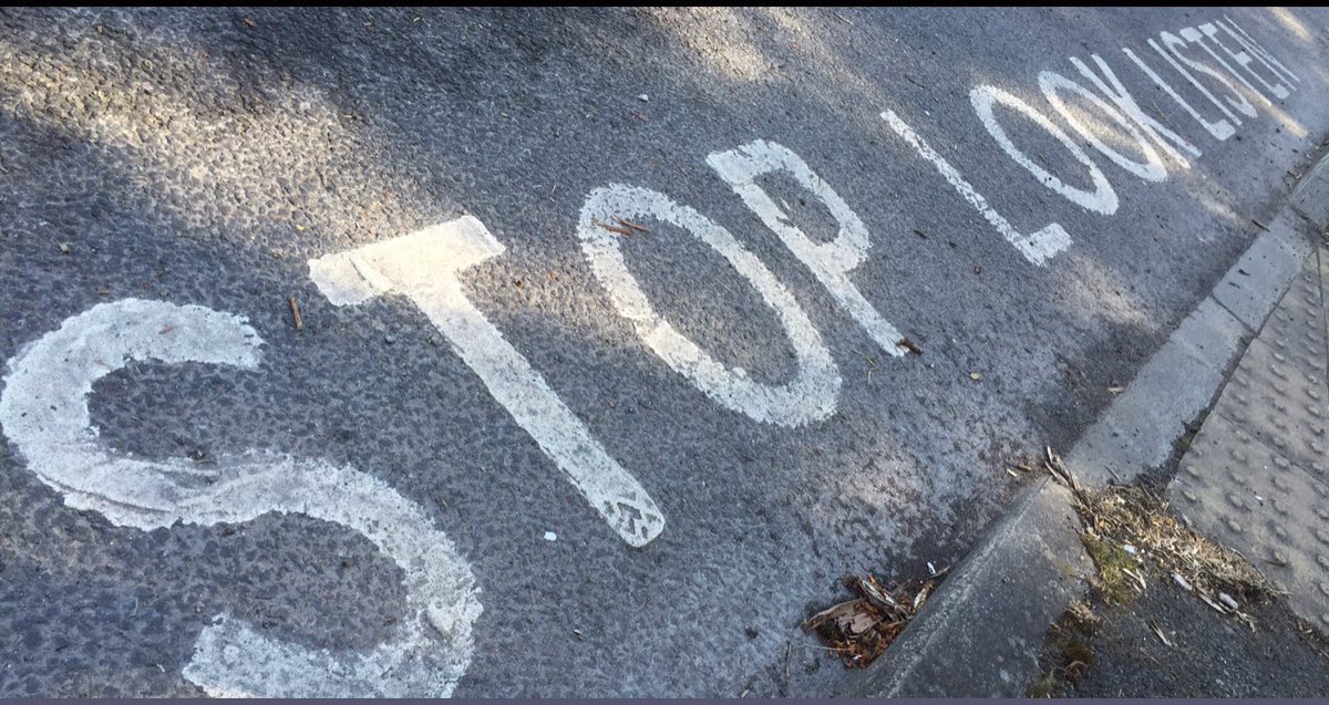 Dr Steve Taylor tweet media