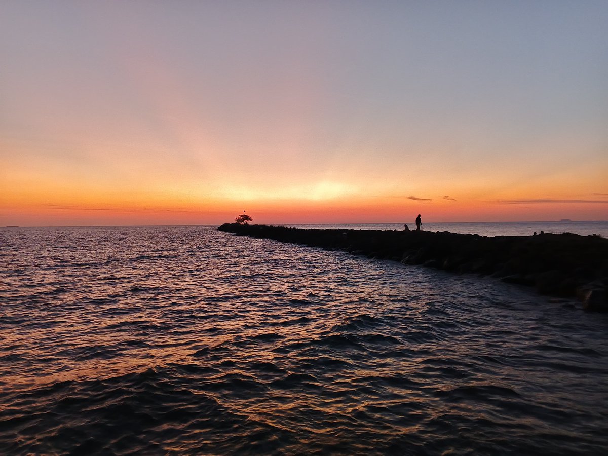 bubble_bee tweet media