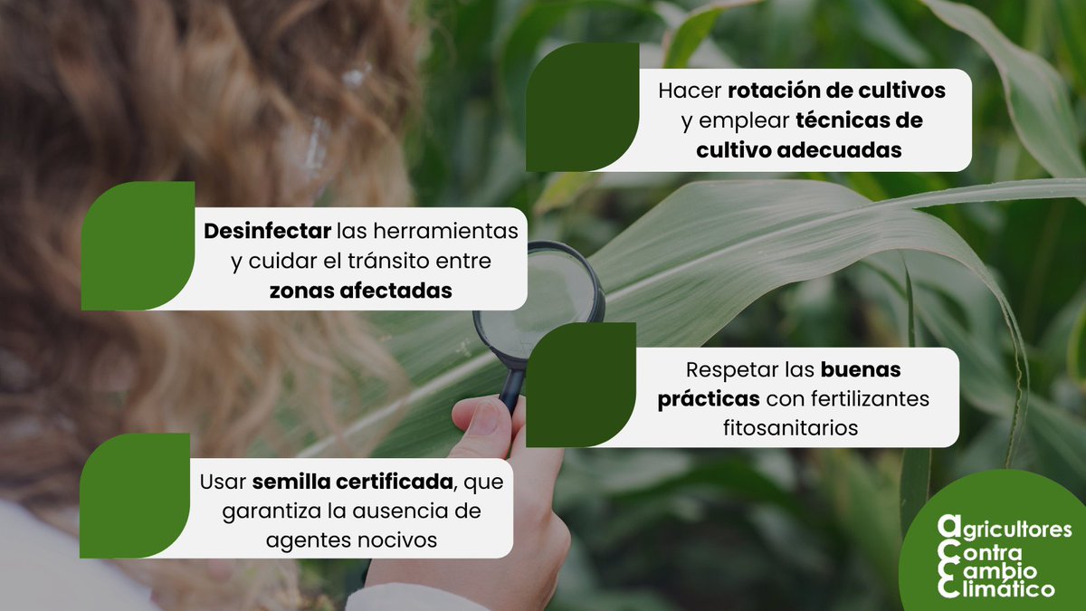 Agricultores Contra el Cambio Climático tweet media