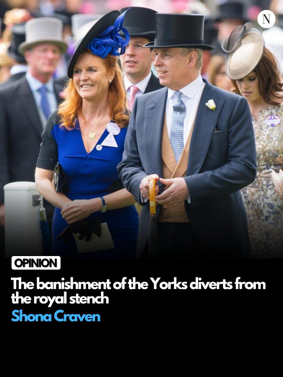 The National tweet media