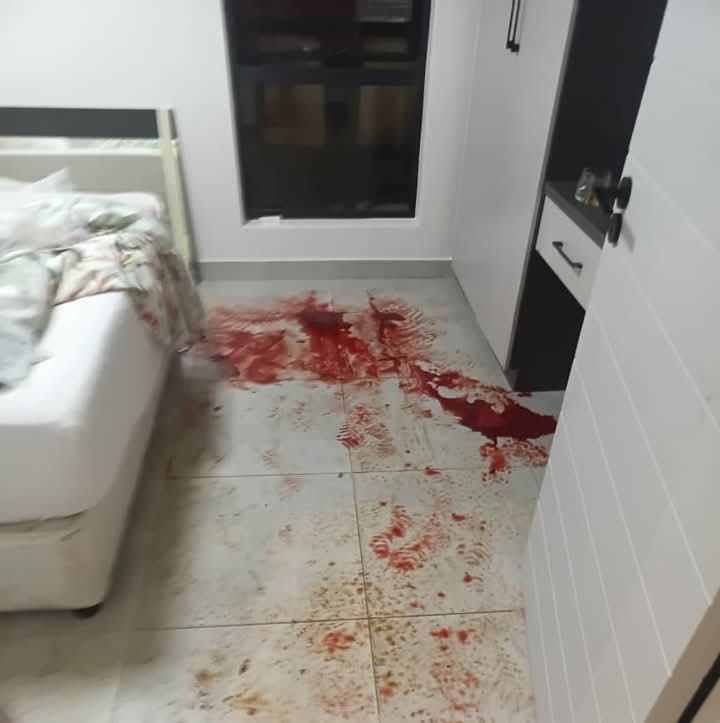 SA REPORTS tweet media