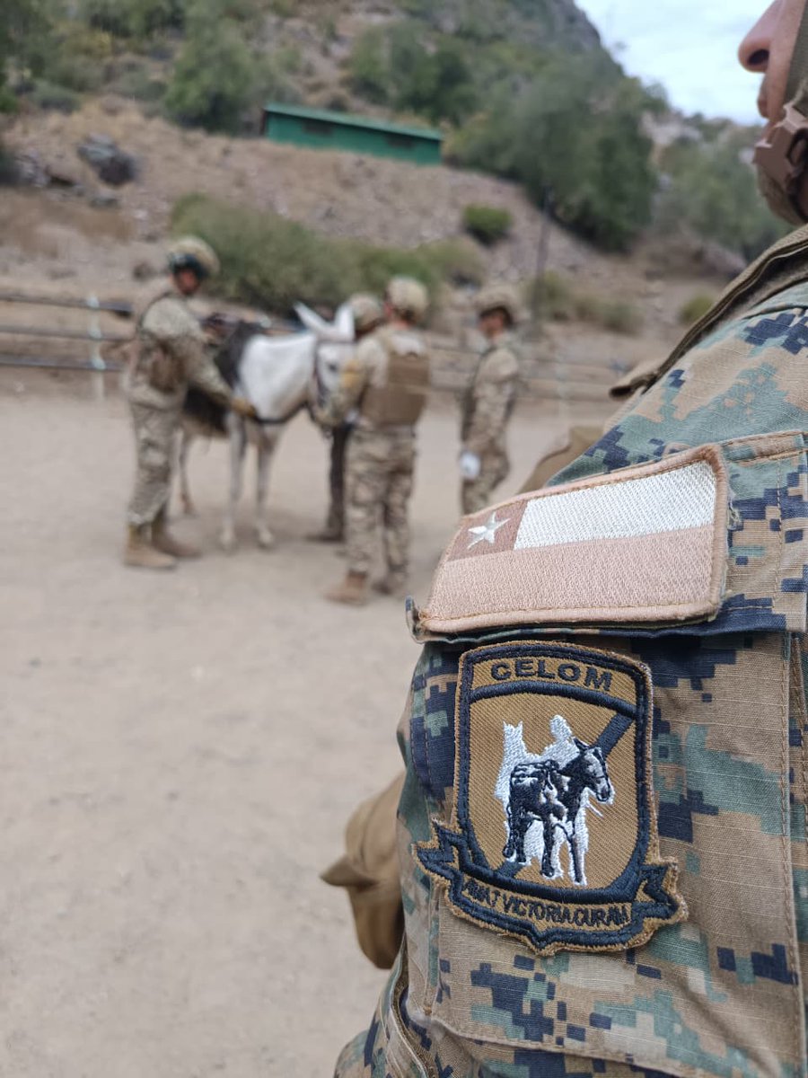 Ejército de Chile tweet media