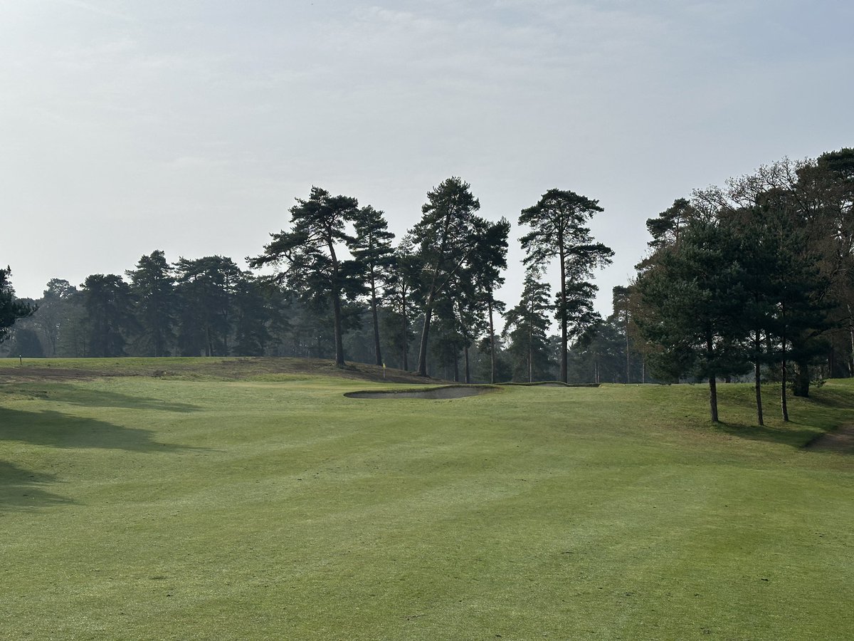 Cookie Jar Golf tweet media