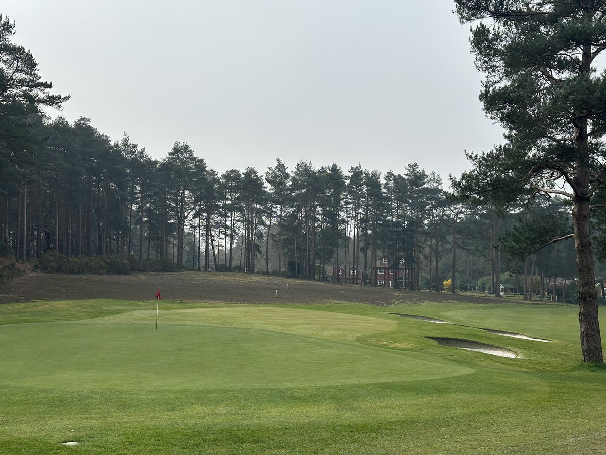 Cookie Jar Golf tweet media