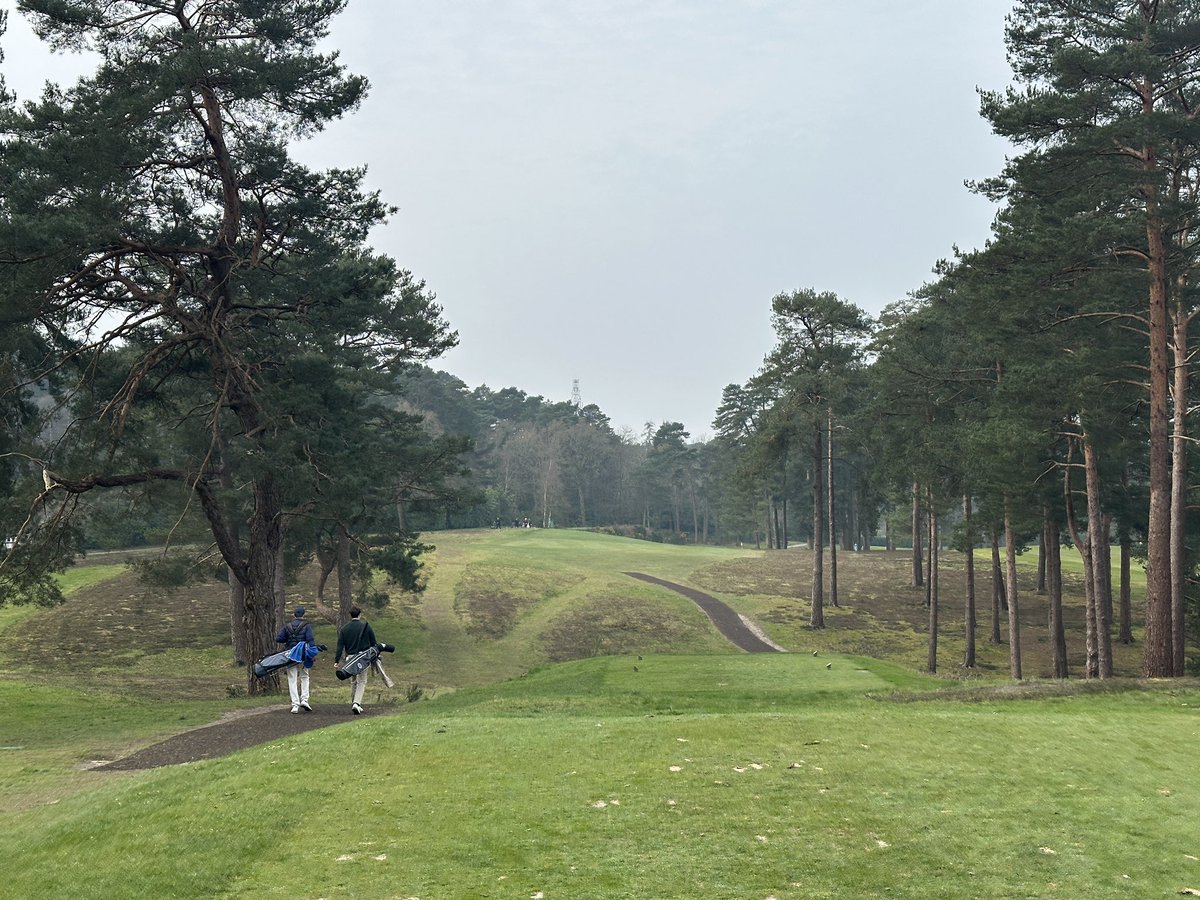 Cookie Jar Golf tweet media