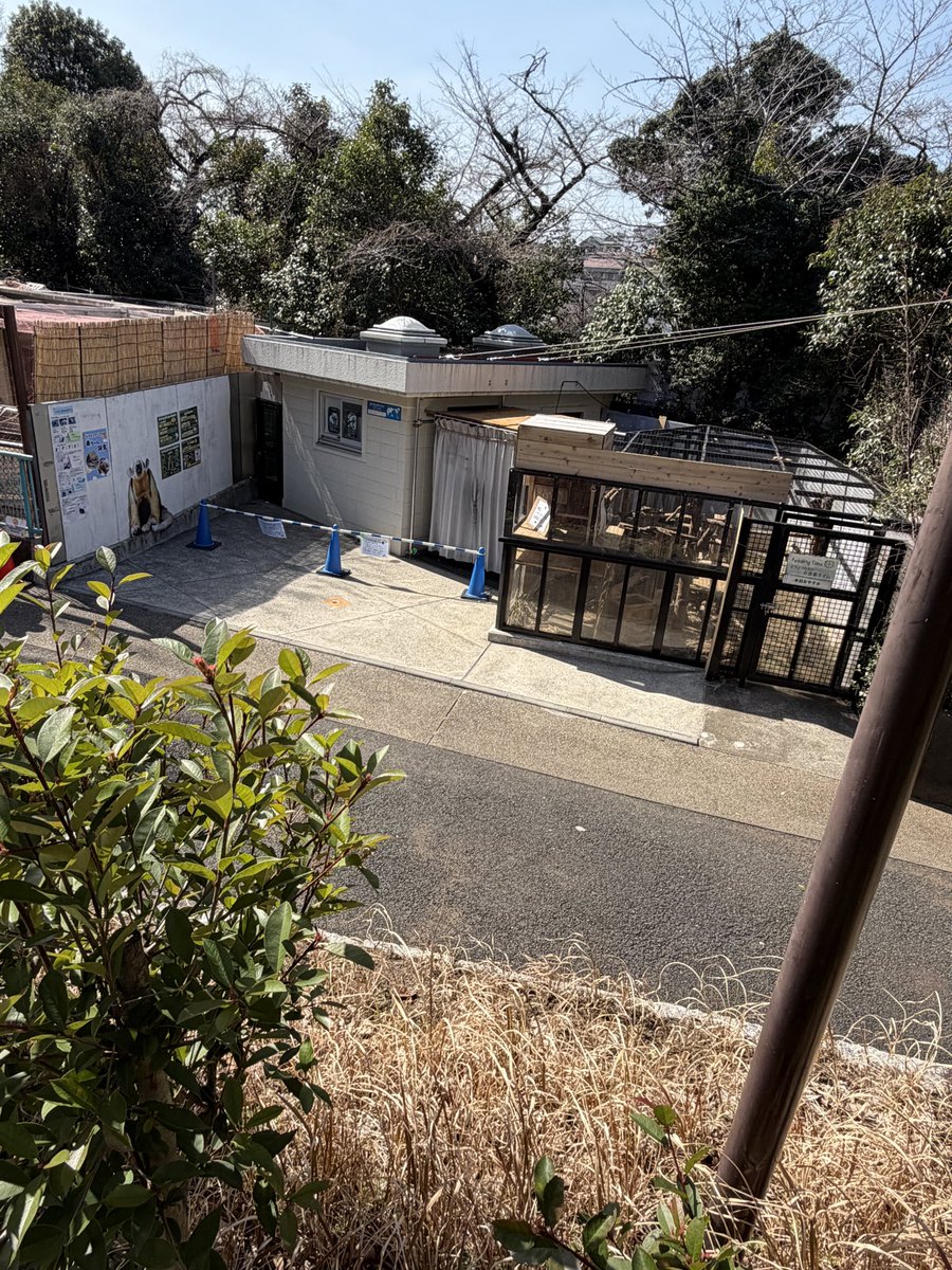 ほかほか湯どうふ定食 tweet media