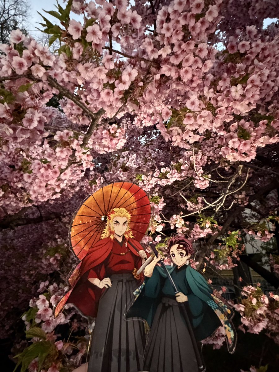 真魚刀歌🐟・ 🔥🎴 tweet media