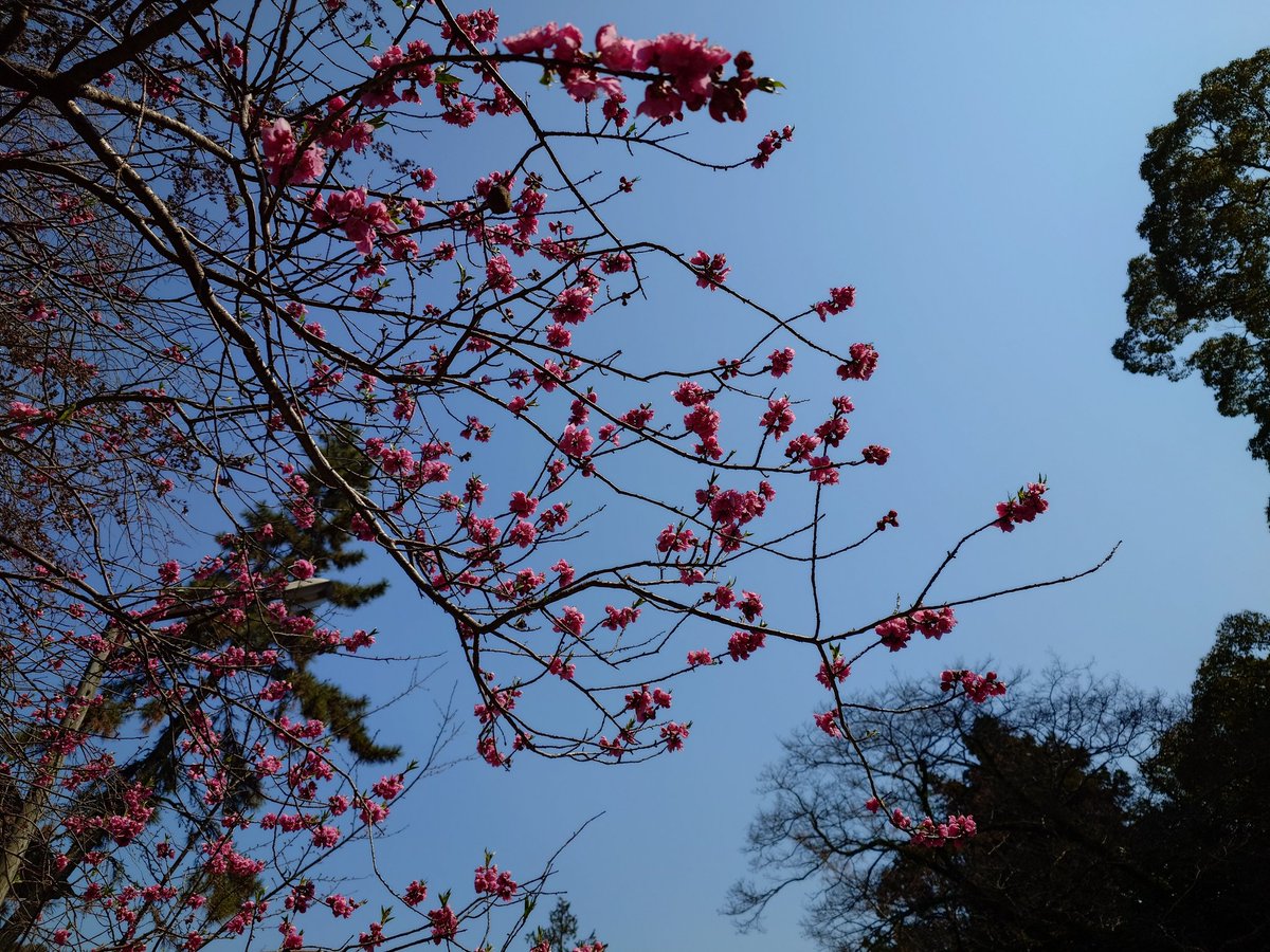 LatexLydia tweet media