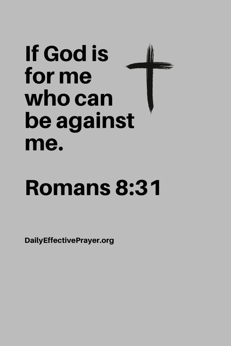 Bible 365 tweet media