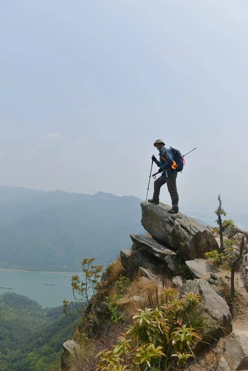 Madeline tweet media